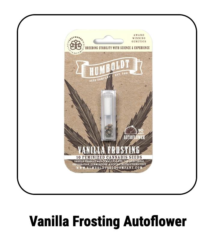 Humboldt Seed Company | Vanilla Frosting | Autoflower Seeds