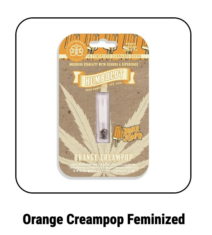 Humboldt Seed Company | Orange Creampop | Feminized Seeds
