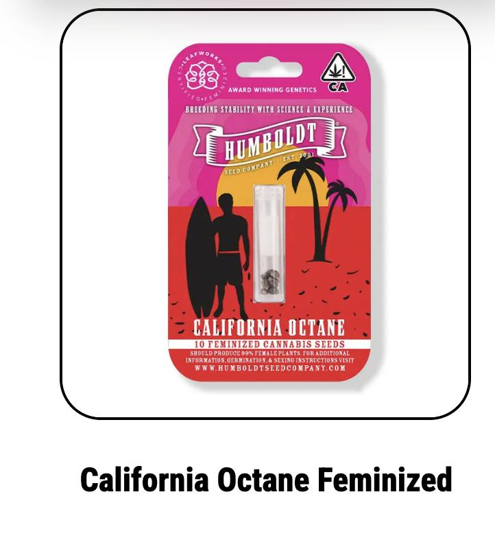 Humboldt Seed Company | California Octane Triploid | Feminized Seeds