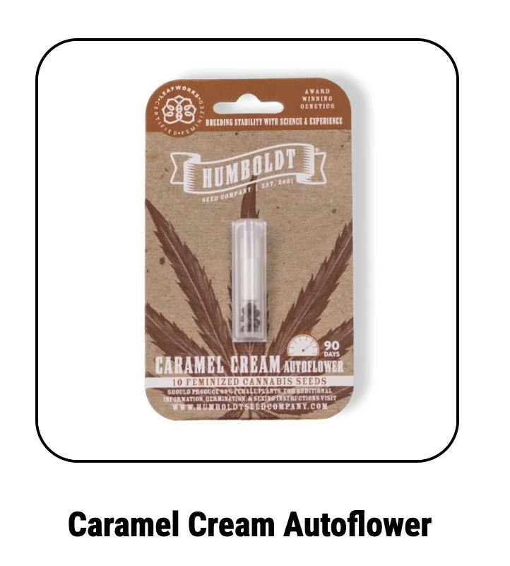 Humboldt Seed Company | Caramel Cream | Autoflower Seeds by Humboldt Seed Company