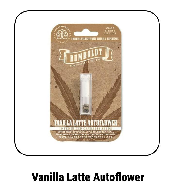 Humboldt Seed Company | Vanilla Latte | Autoflower Seeds