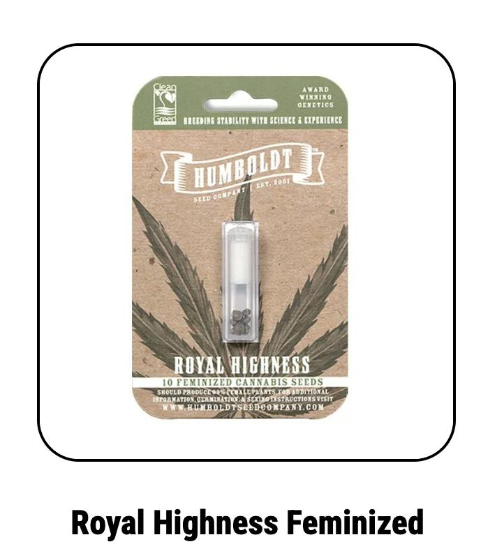 Humboldt Seed Company | Royal Highness | Feminized Seeds