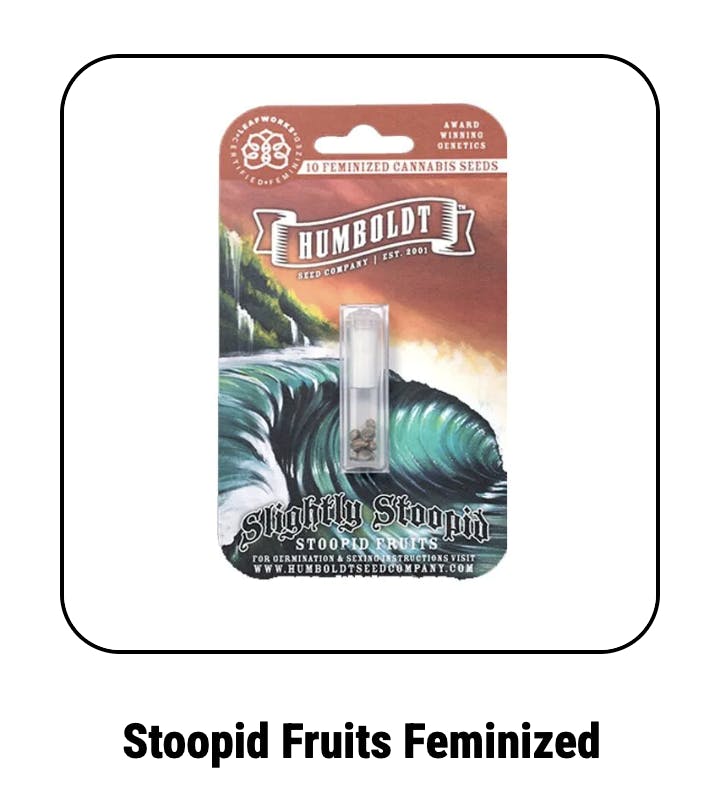 Stoopid Fruits Feminized Seeds