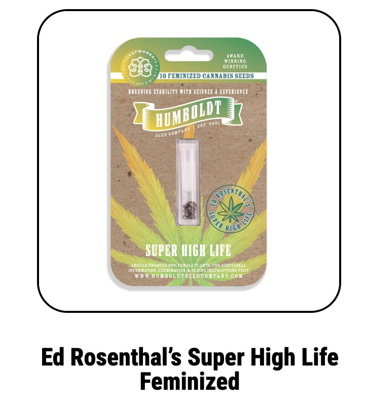 Ed Rosenthal’s Feminized Seeds