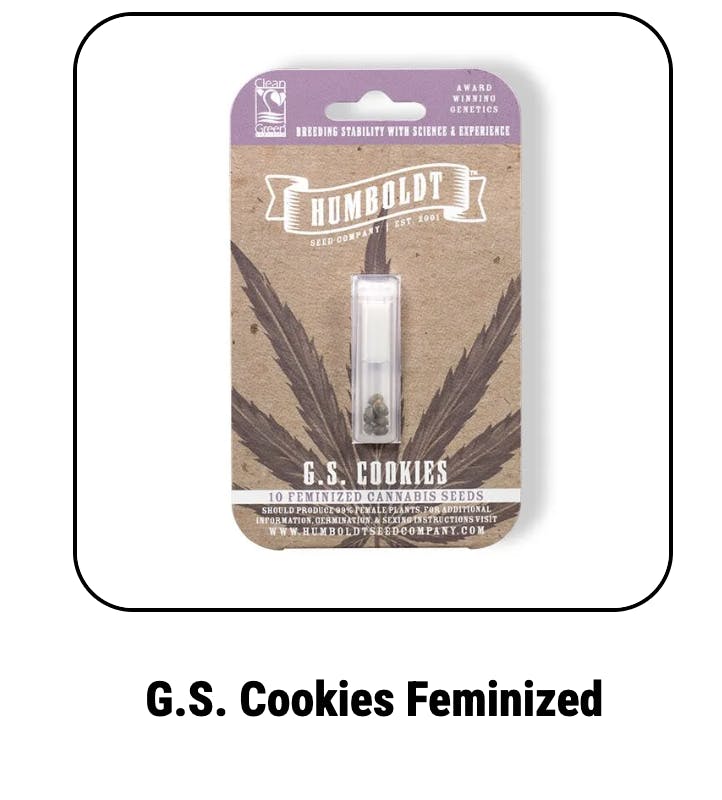 G.s. Cookies Feminized Seeds