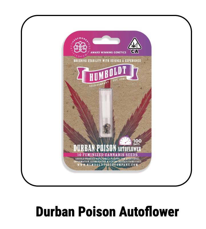 Durban Poison | Autoflower Feminized Seeds | 10pk