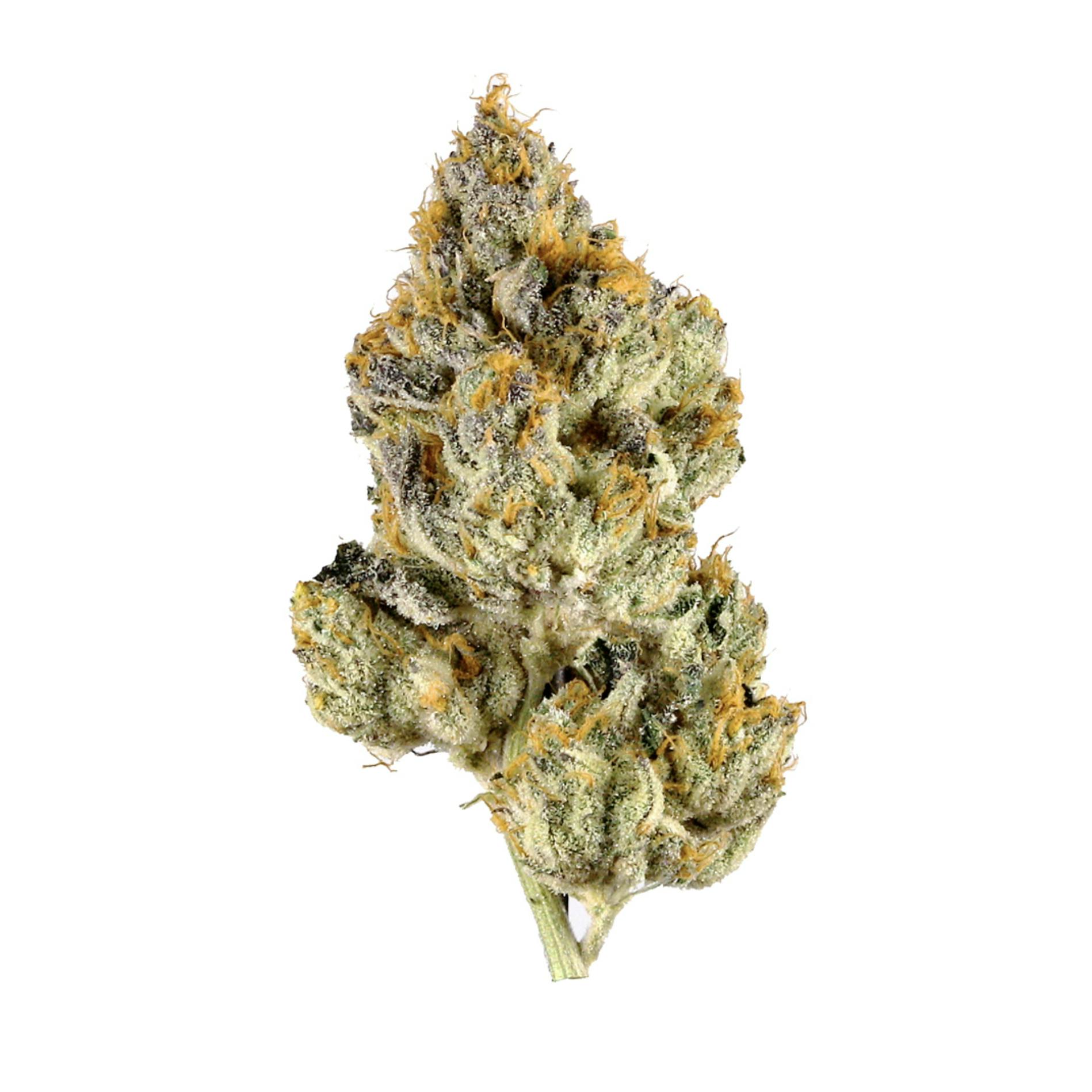 777 OG - 28g by ROLLY