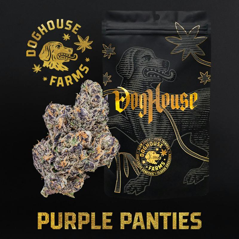 Purple Panties - Smalls - Sativa by DogHouse Farms