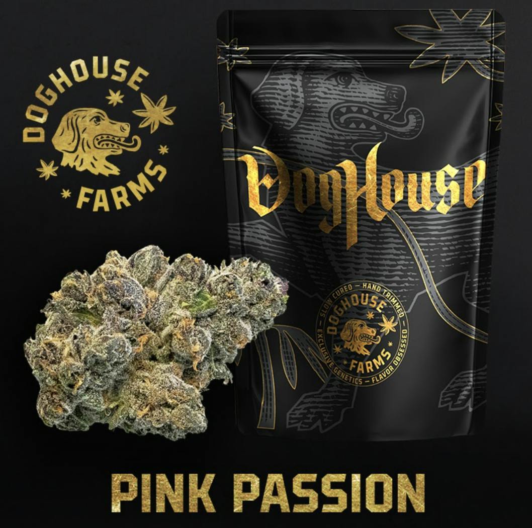Pink Passion - Smalls - Hybrid by DogHouse Farms