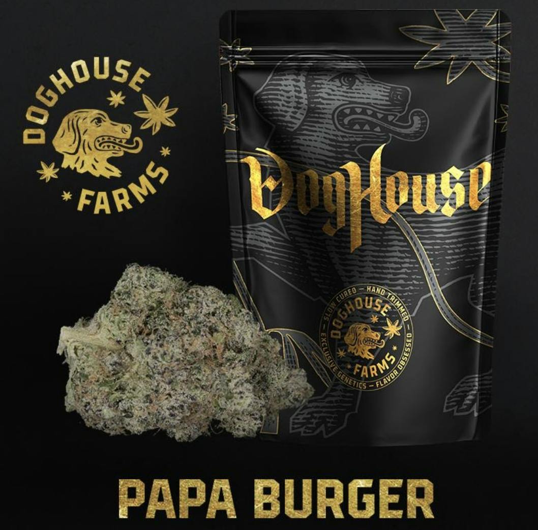 Papa Burger - Shake - Indica