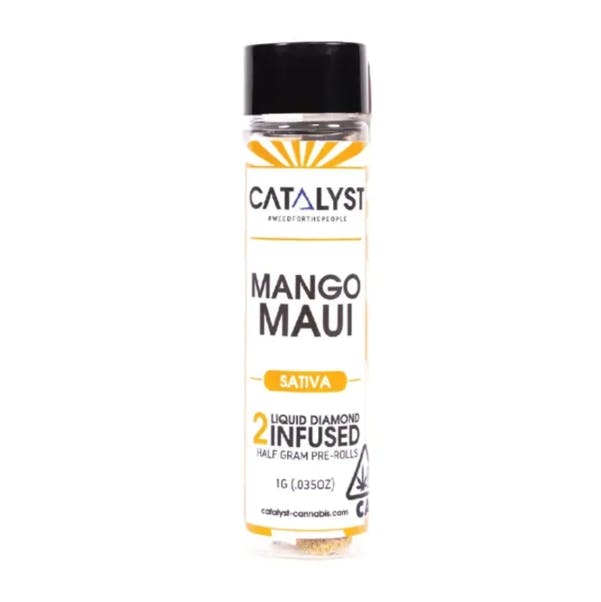 CATALYST: Maui Mango