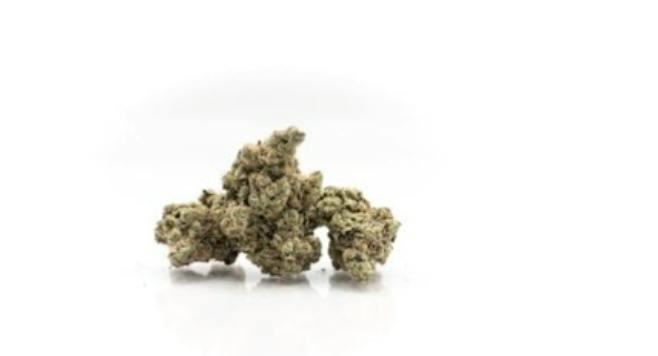 White Trash Bash | Flower 28g