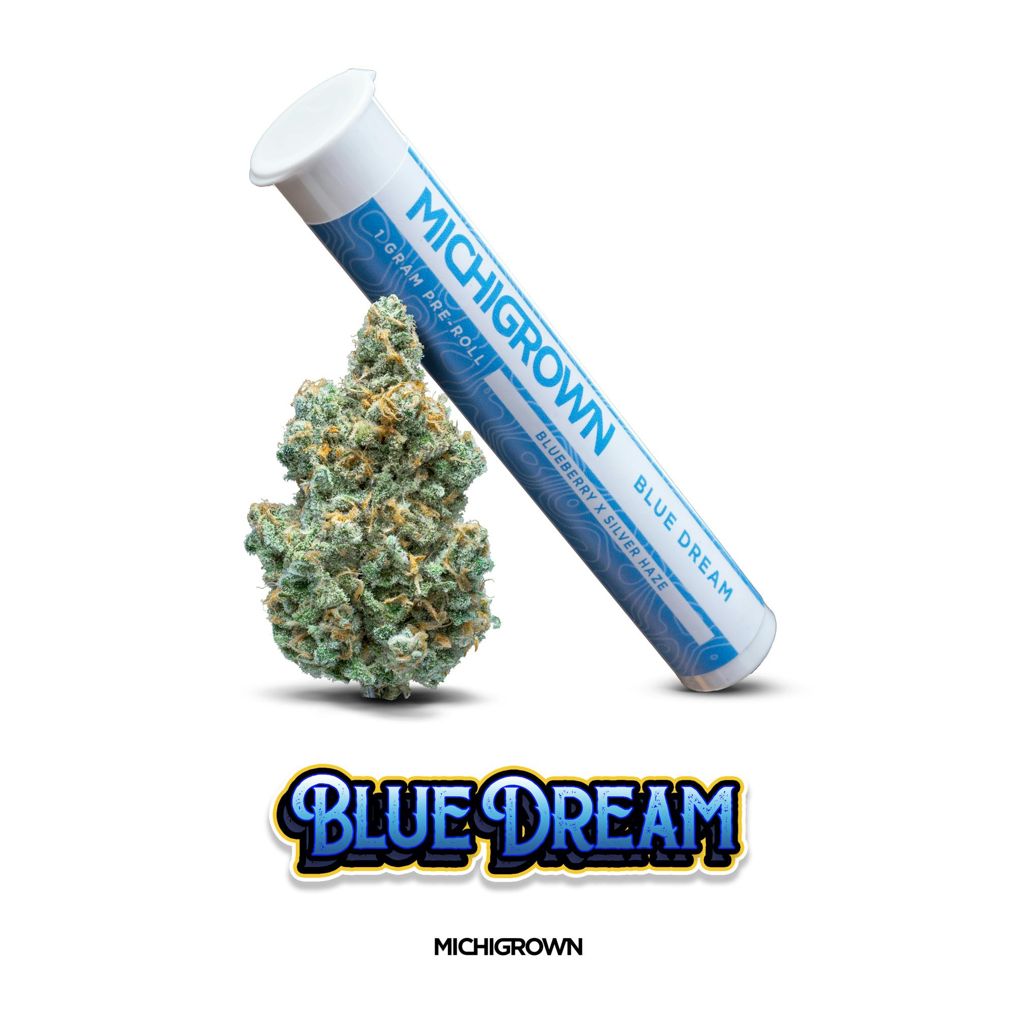 Blue Dream | Joint | 1g