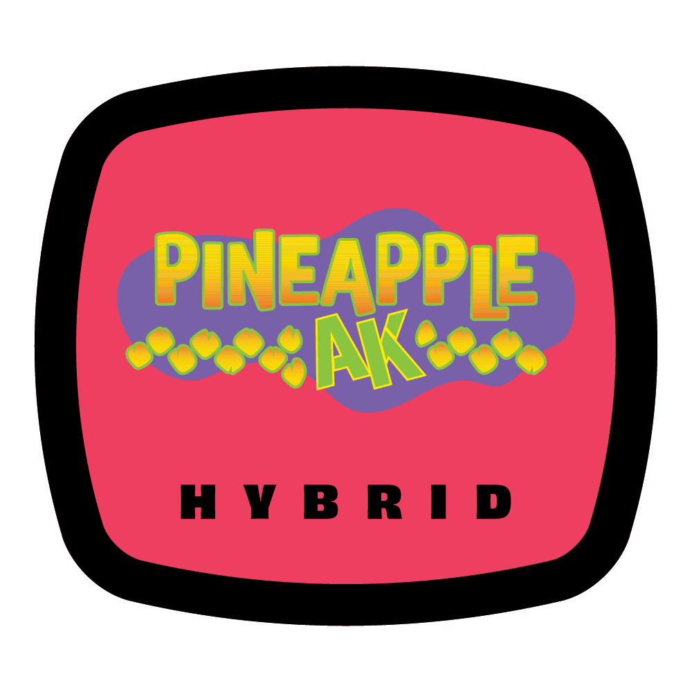 Pineapple AK – Flower – 7g by 93 Boyz