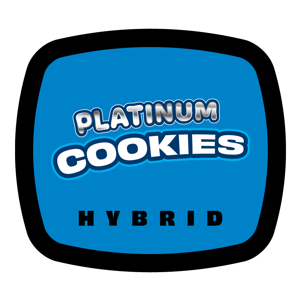Platinum Cookies – Flower – 3.5g by 93 Boyz