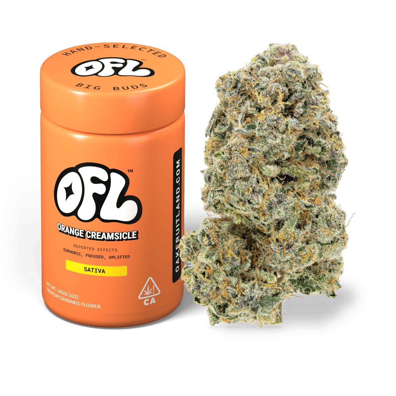 Orange Creamsicle | Big Buds Jar | 14g