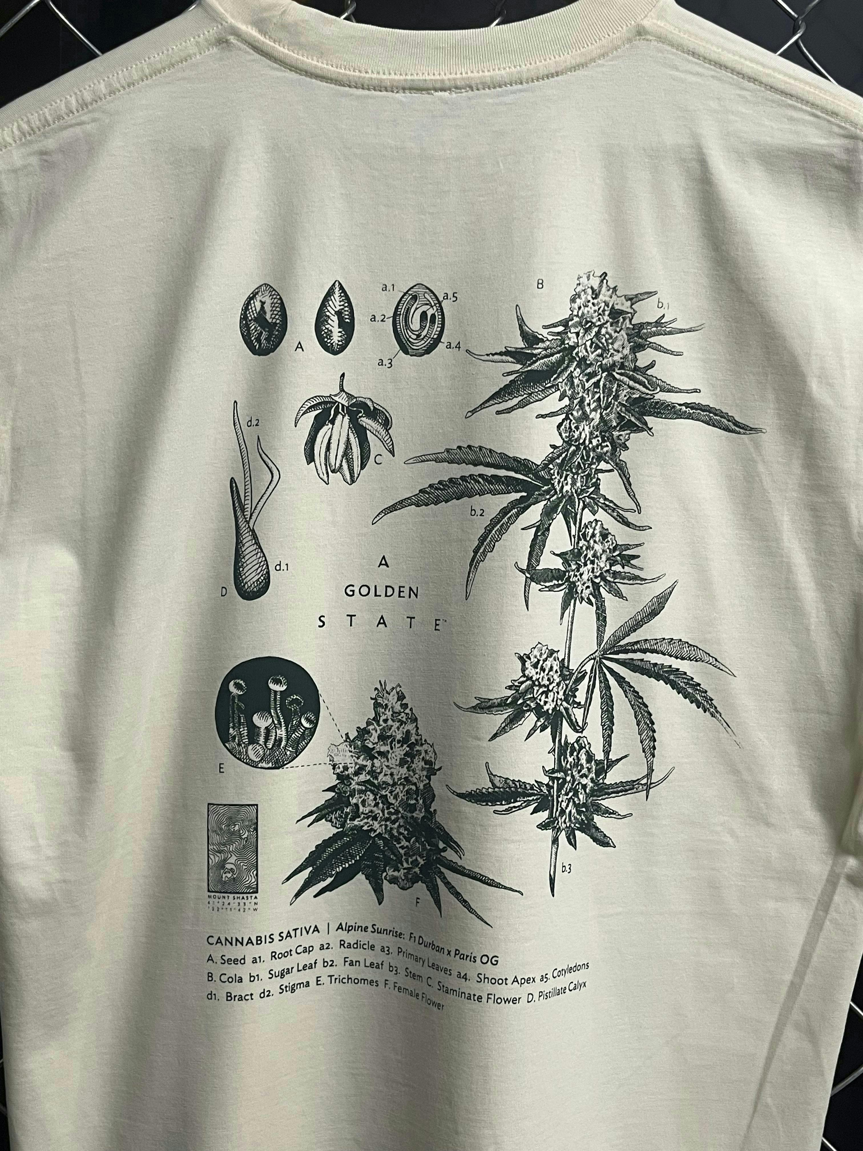 A Golden State | Taxonomy T-Shirt | Shirts | Medium