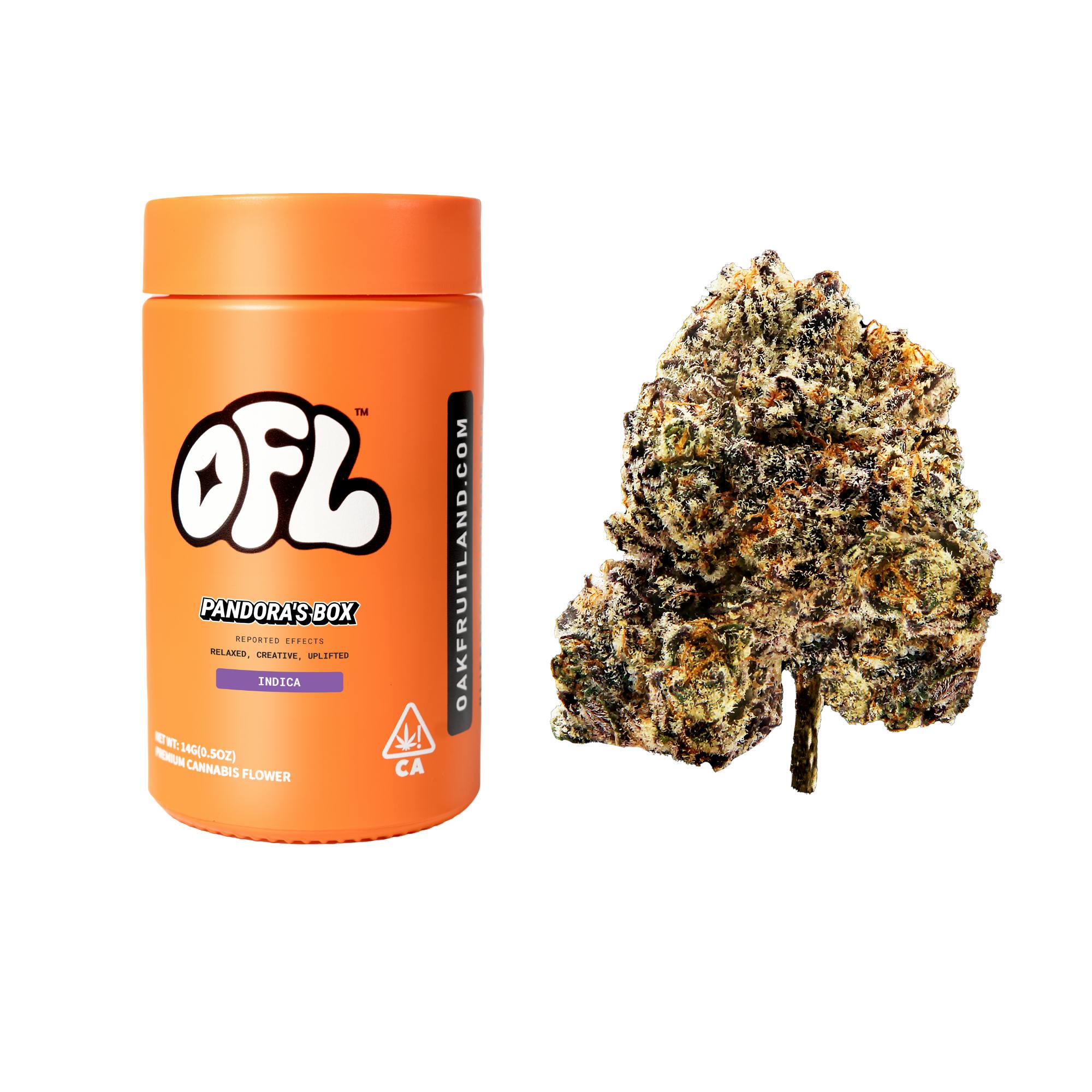 Pandora's box Premium Flower Jar 14g - Big Buds - Oakfruitland (OFL)