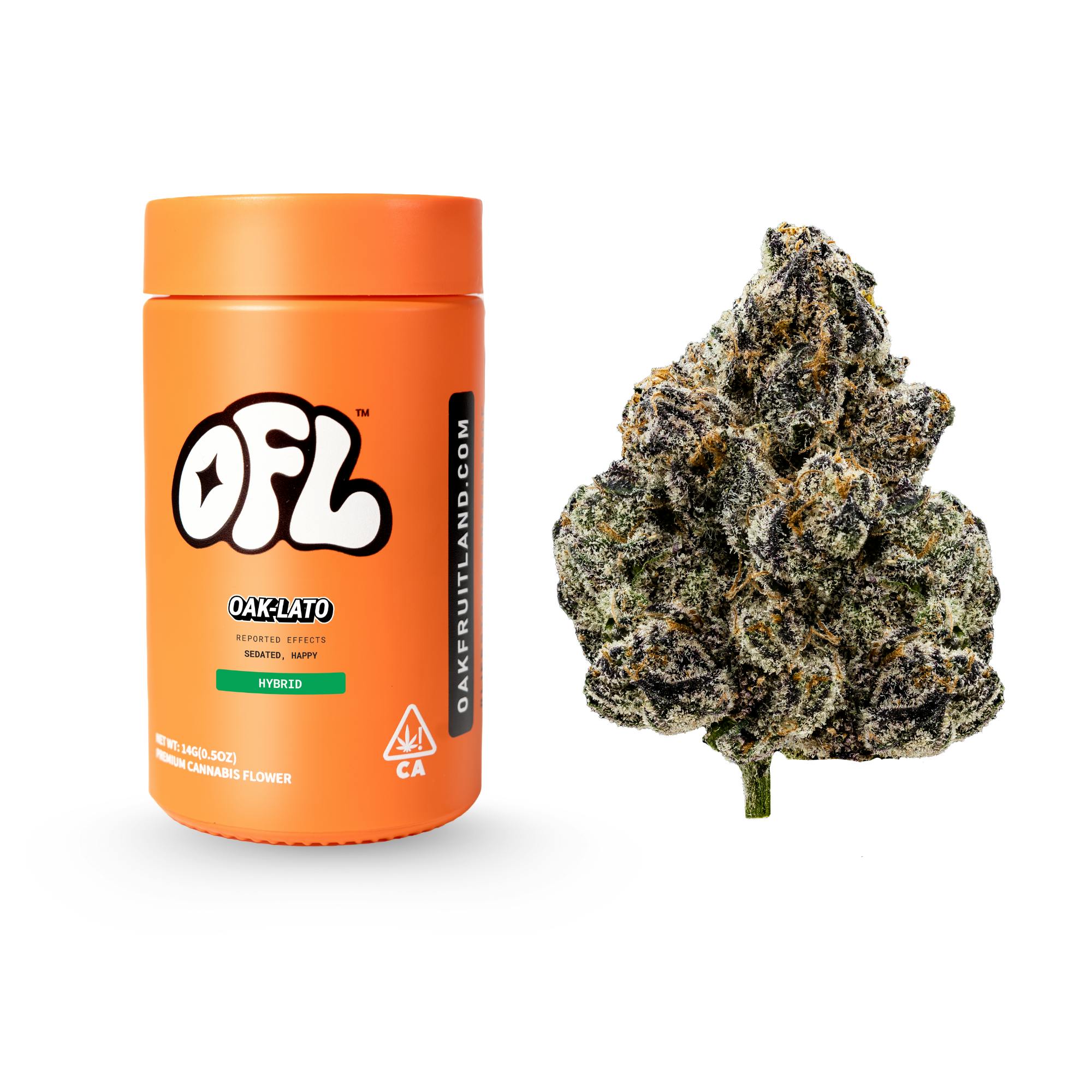 Premium Flower Jar Big Buds