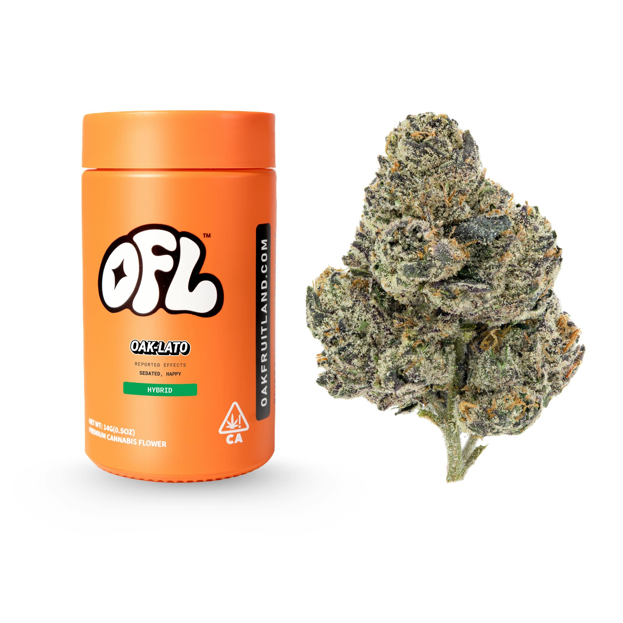 Oak-Lato | Big Buds Jar | 14g
