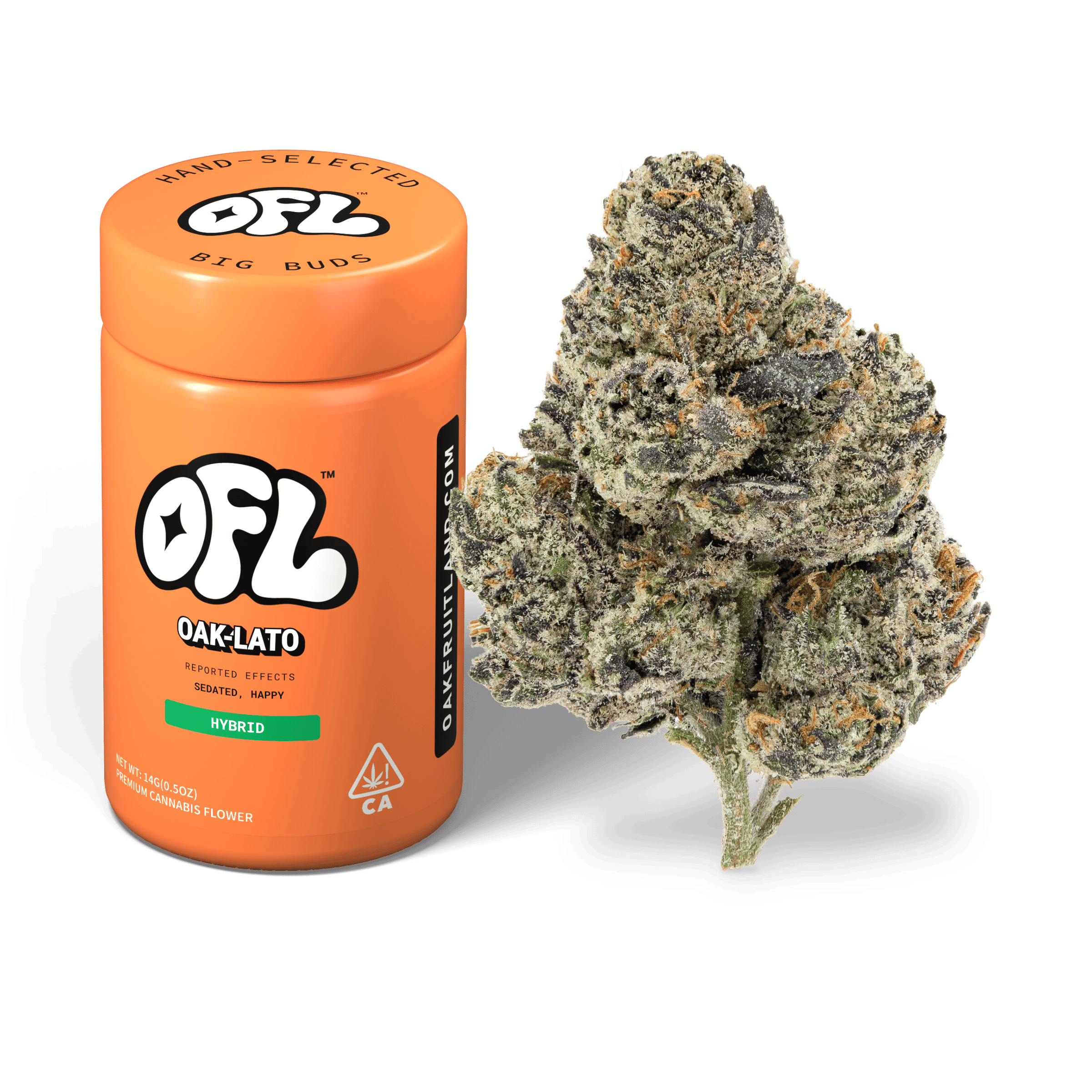 Oak-Lato | Big Buds Jar | 14g