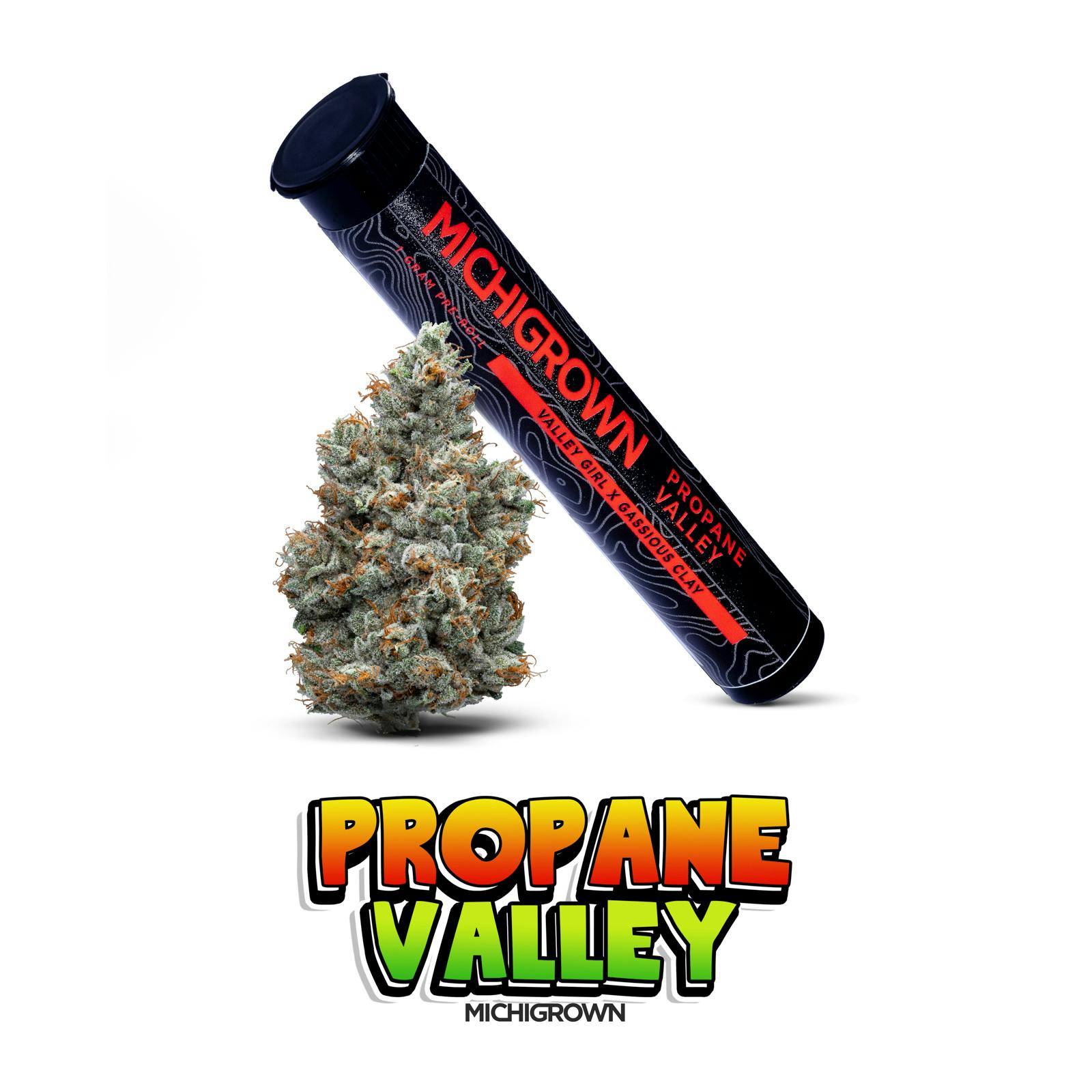 PROPANE VALLEY - 1 GRAM PREMUIM PRE ROLL by MICHIGROWN