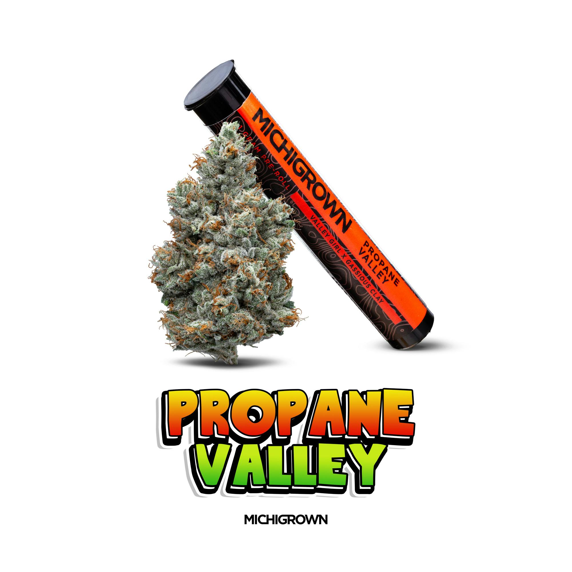 Propane Valley | Joint | 1g by MICHIGROWN