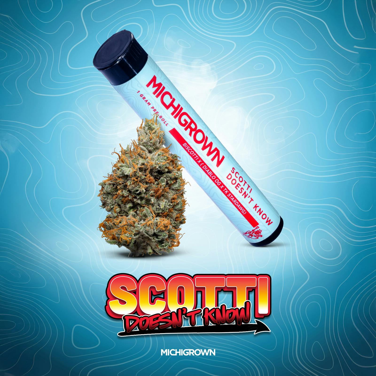 Scotti Doesn't Know | Joint | 1g
