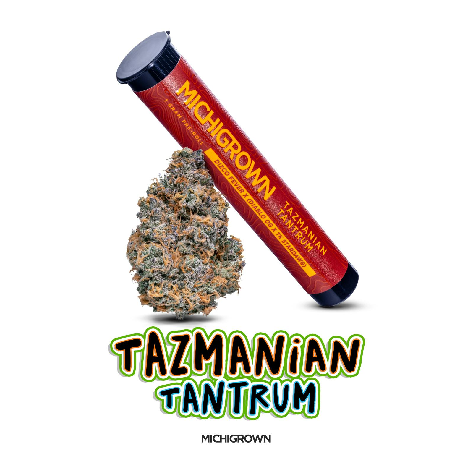 Tazmanian Tantrum | Joint | 1g