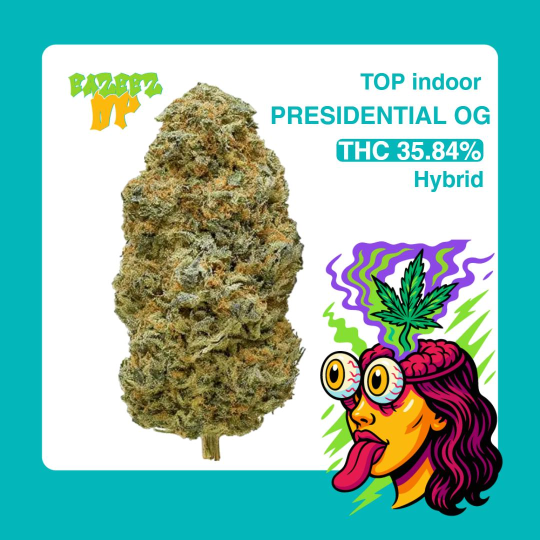 Mistyk - Hatter Haze - Live Resin AIO - EAZEEZ UP