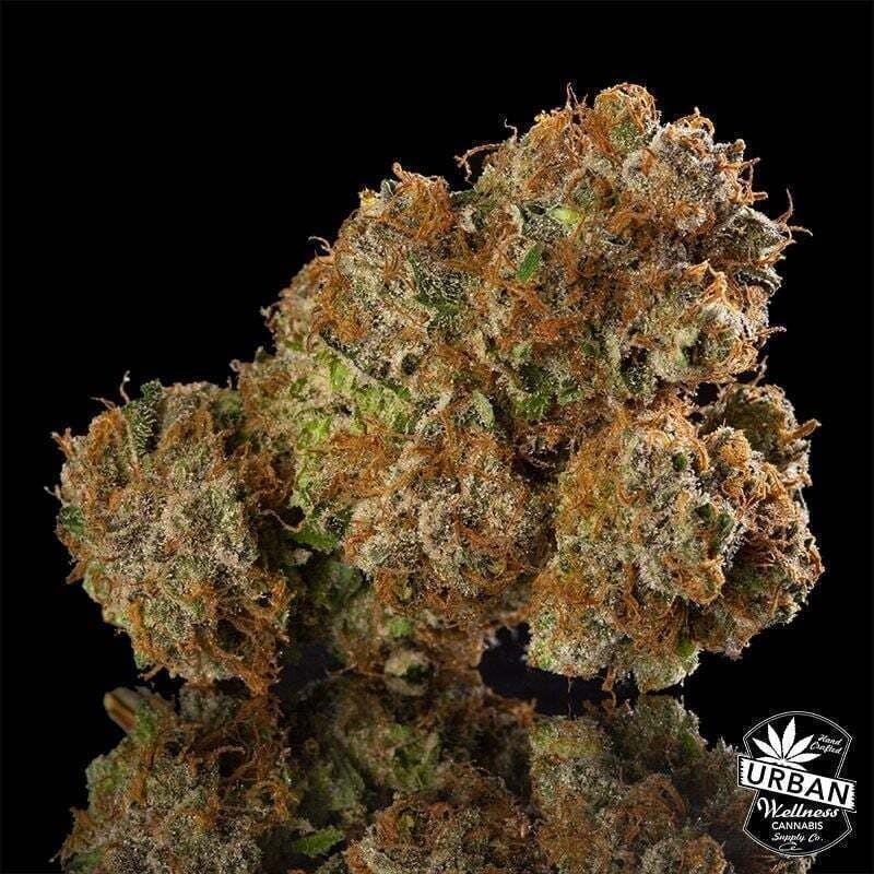 Urban Wellness | Mandarin Cookies | Flower | 1g