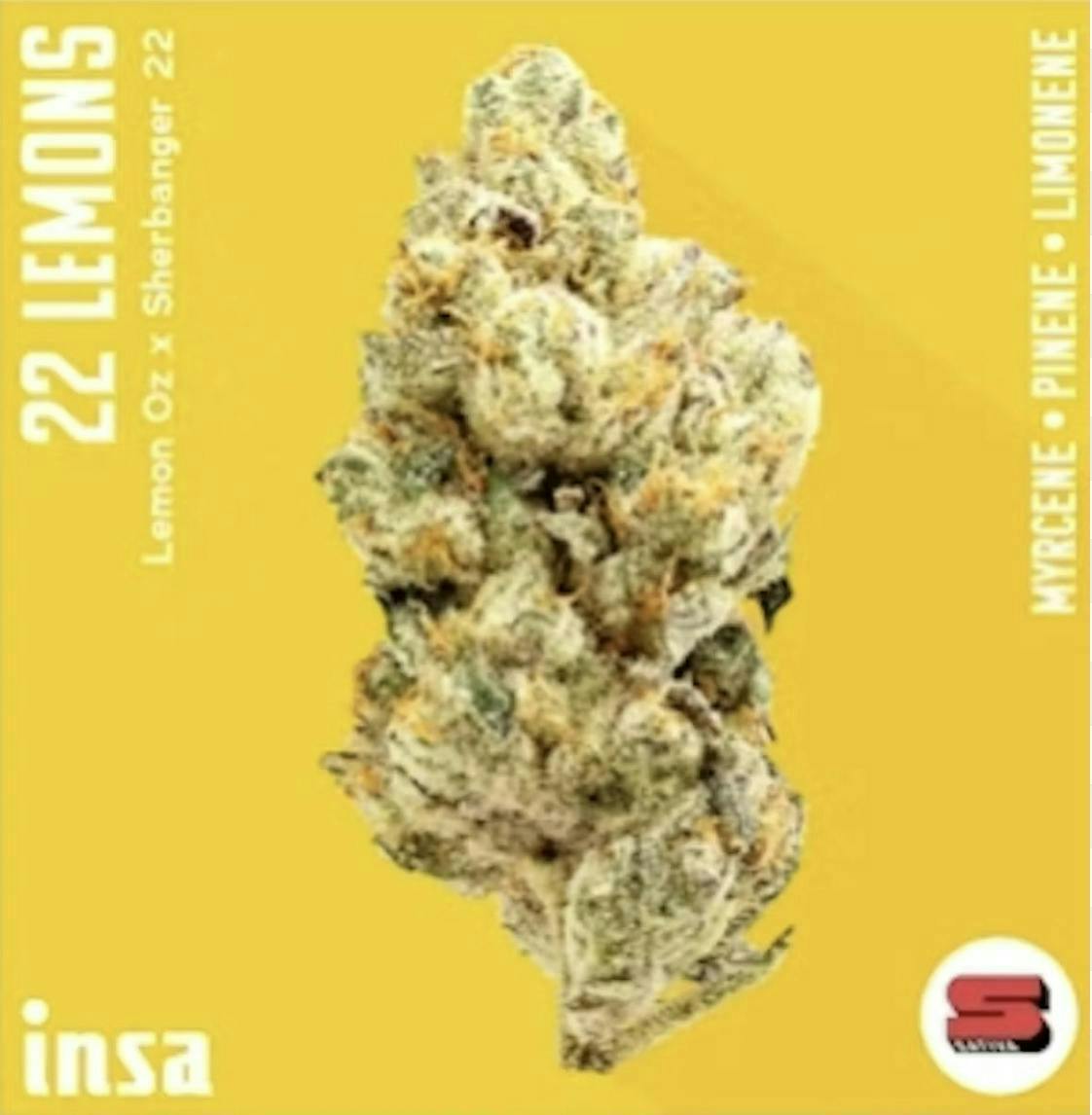 INSA - 22 Lemons - 28g Large Pack Flower by Insa