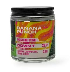 Banana Punch Bulk Flower by Forbins Finest
