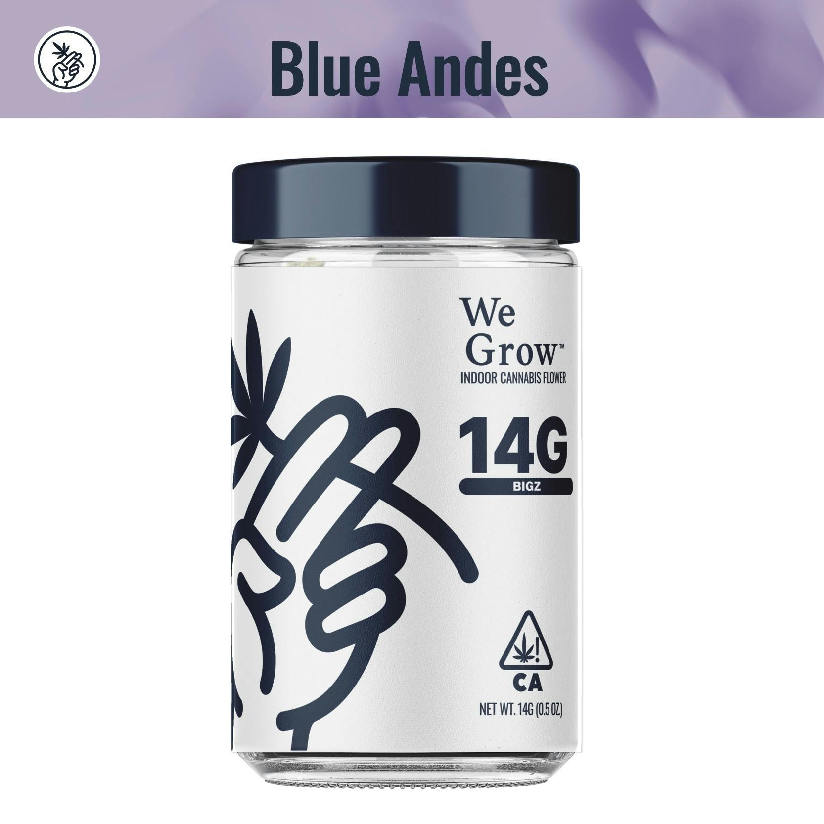 Blue Andes Jar Big