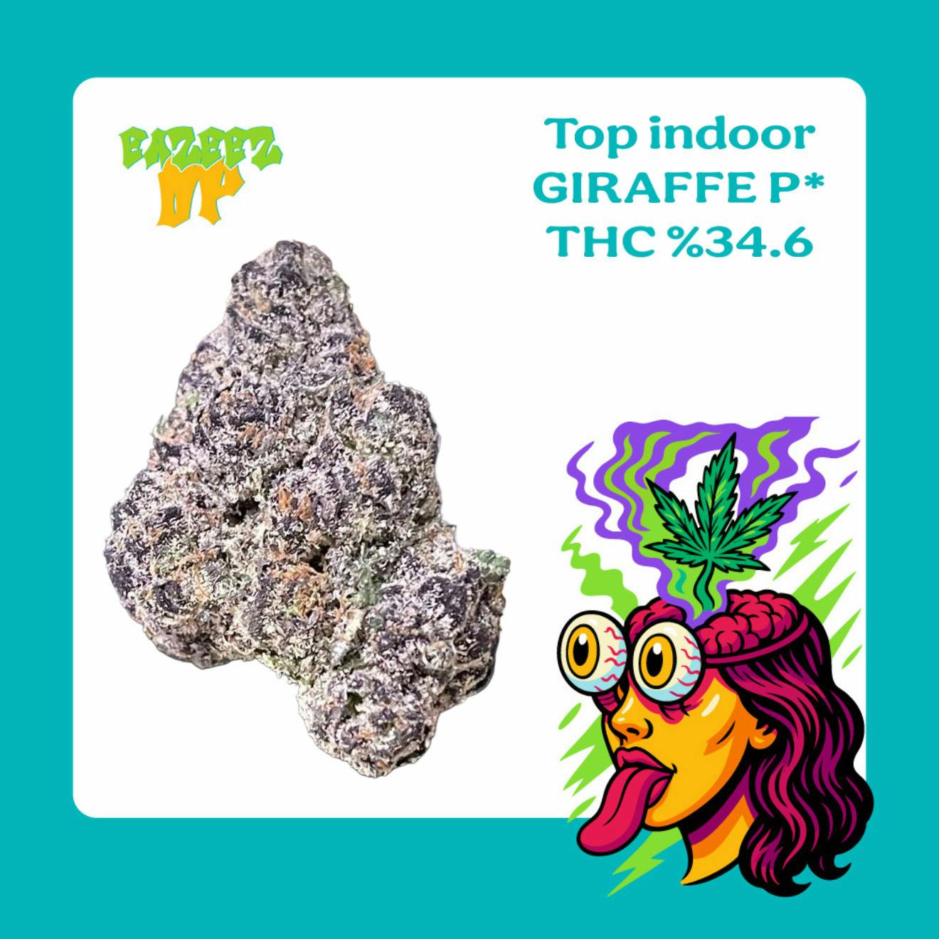 Giraffe P* - Top Indoor - New Drop- (14g-1/2oz) - Hybrid - EAZEEZ UP