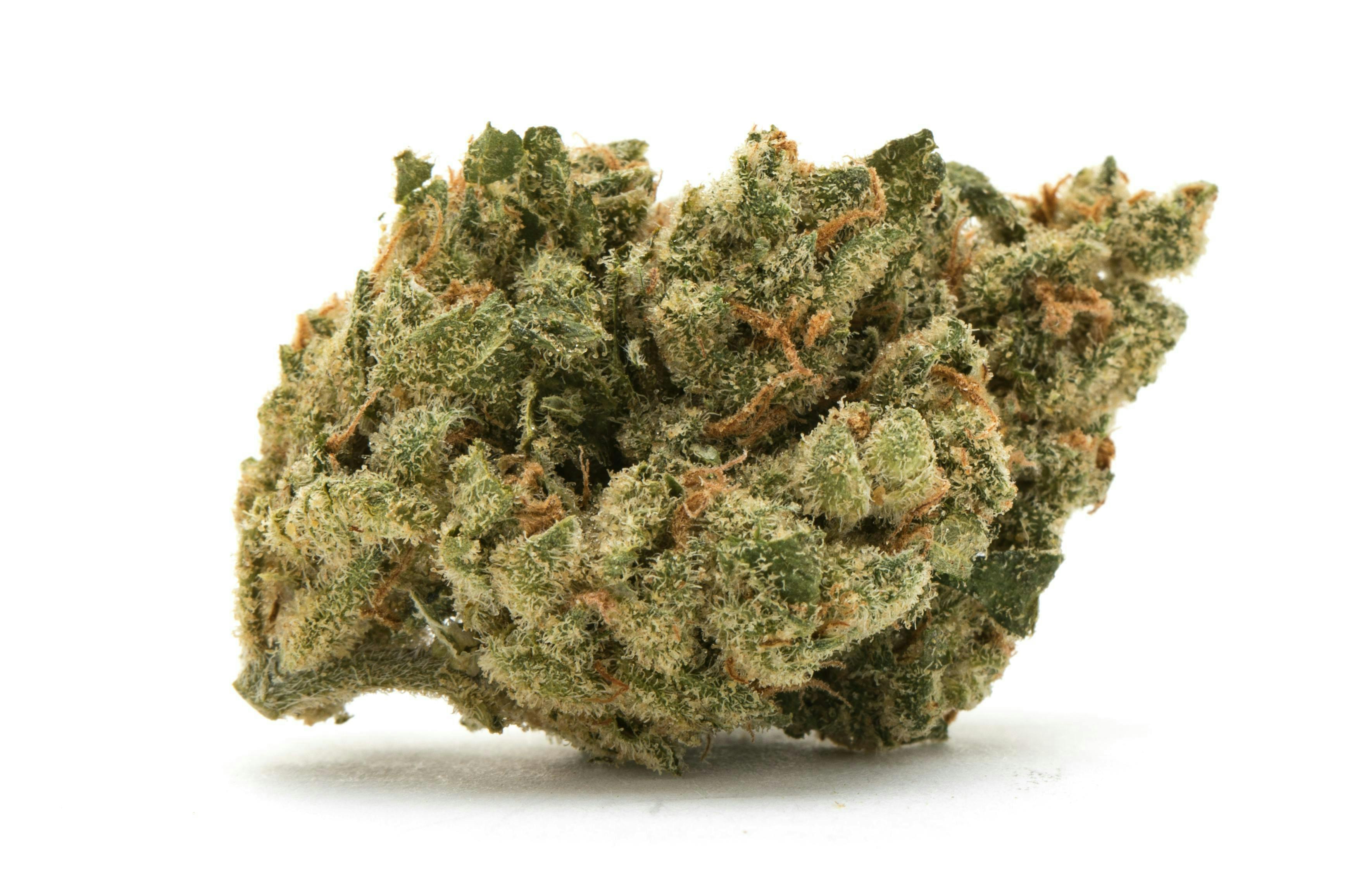 Greenlight | Zoap | Flower | 28G | GOLD