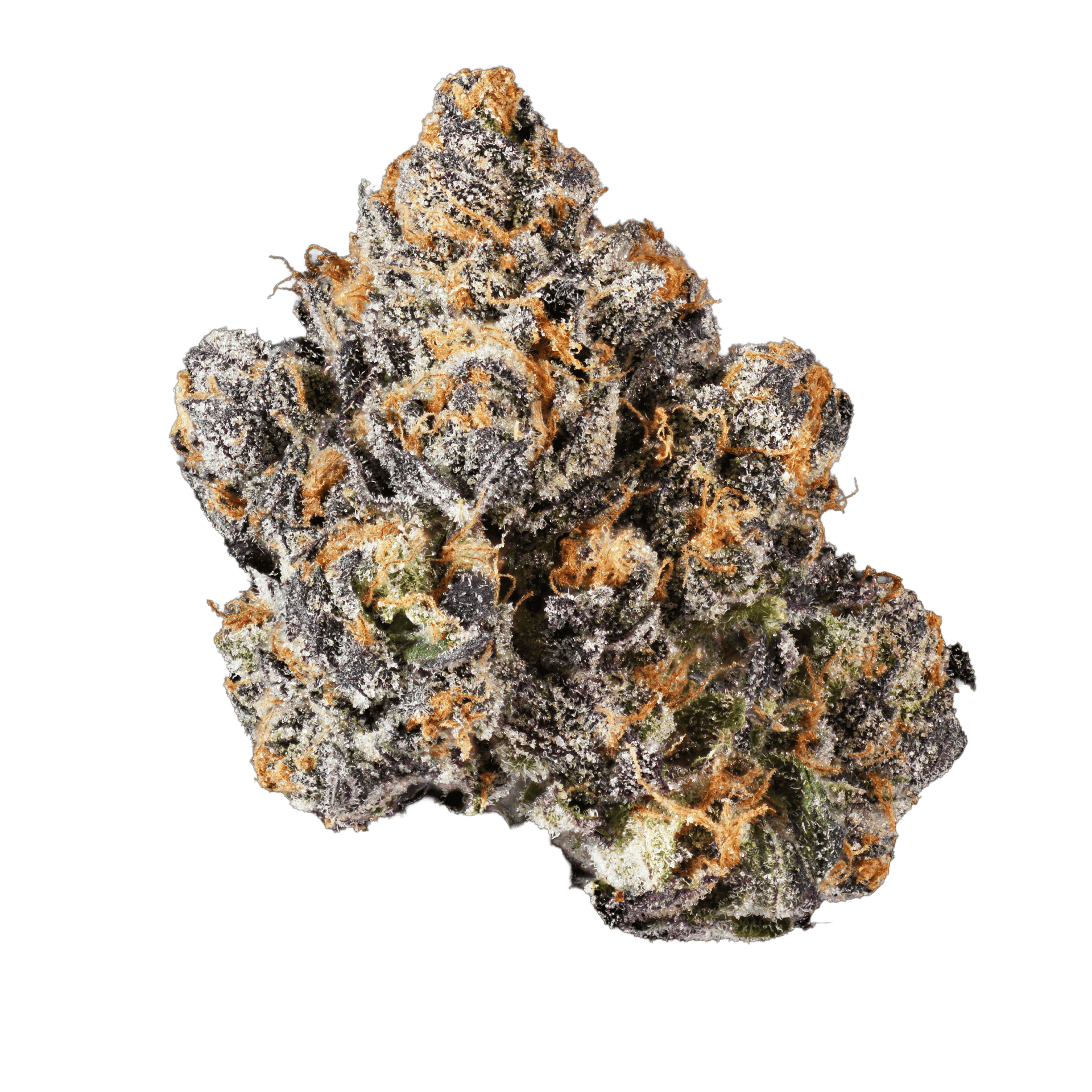 Midnight Bubba | Indoor Flower - 3.5g