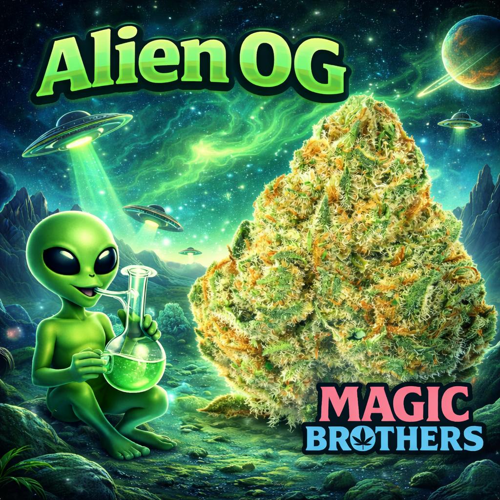 Alien OG - Top Shelf Flower - 1/8oz. 3.5g. - Magic Brothers