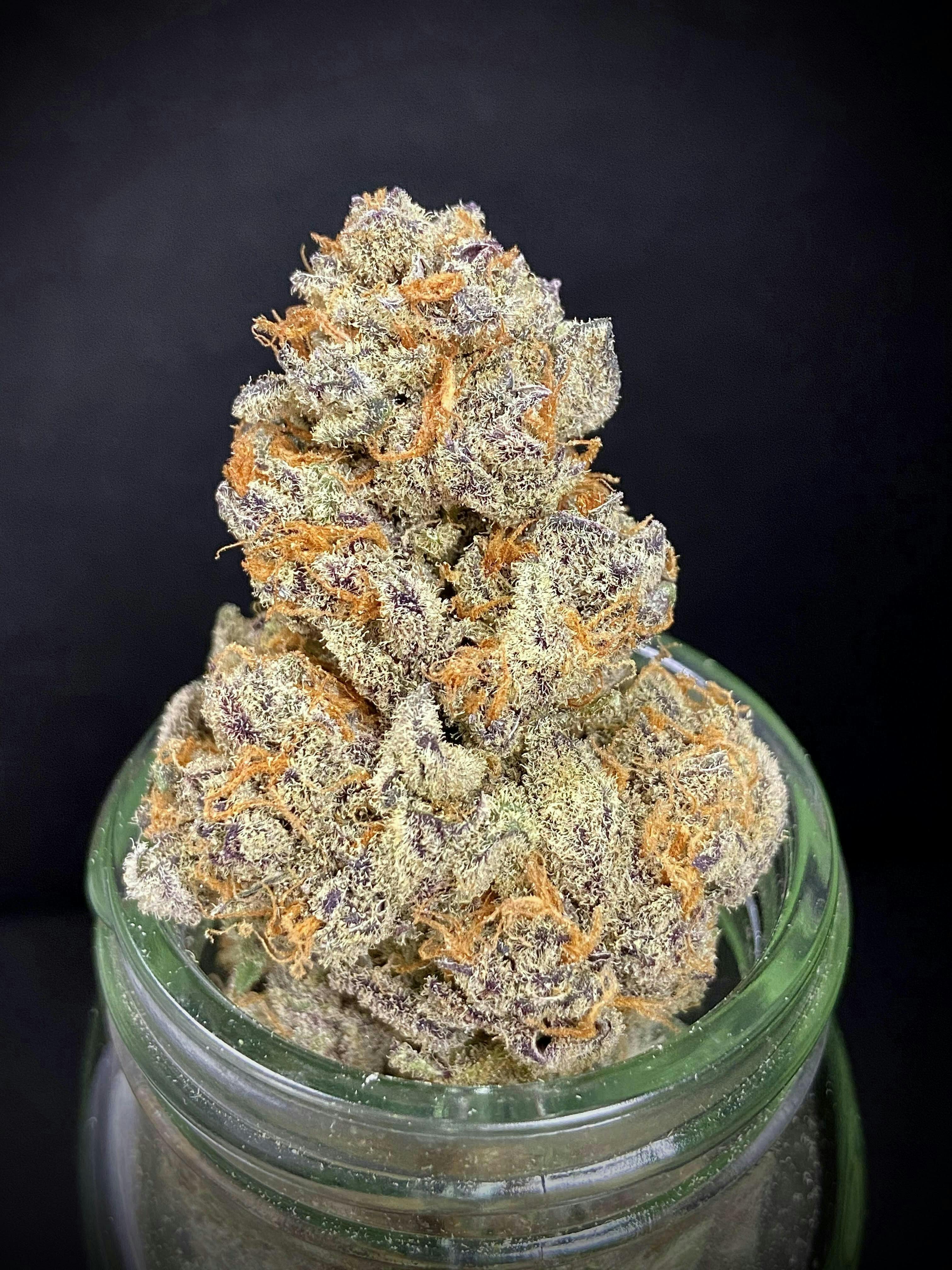 Colorado Cream Soda Flower 14g