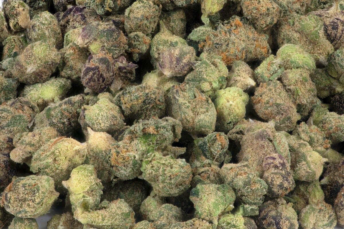 Micro Greenz — Sundae Driver