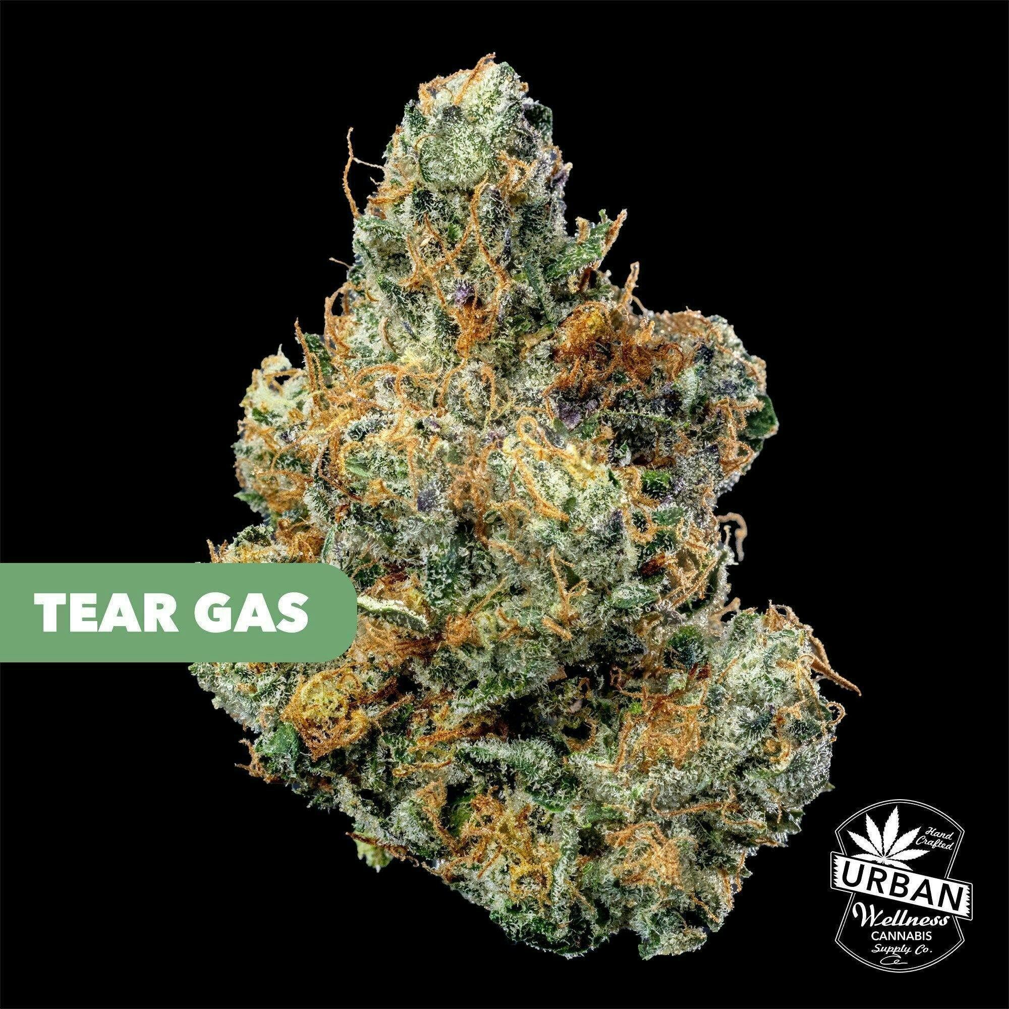 Urban Wellness | Tear Gas | Flower | 28g by Urban Wellness