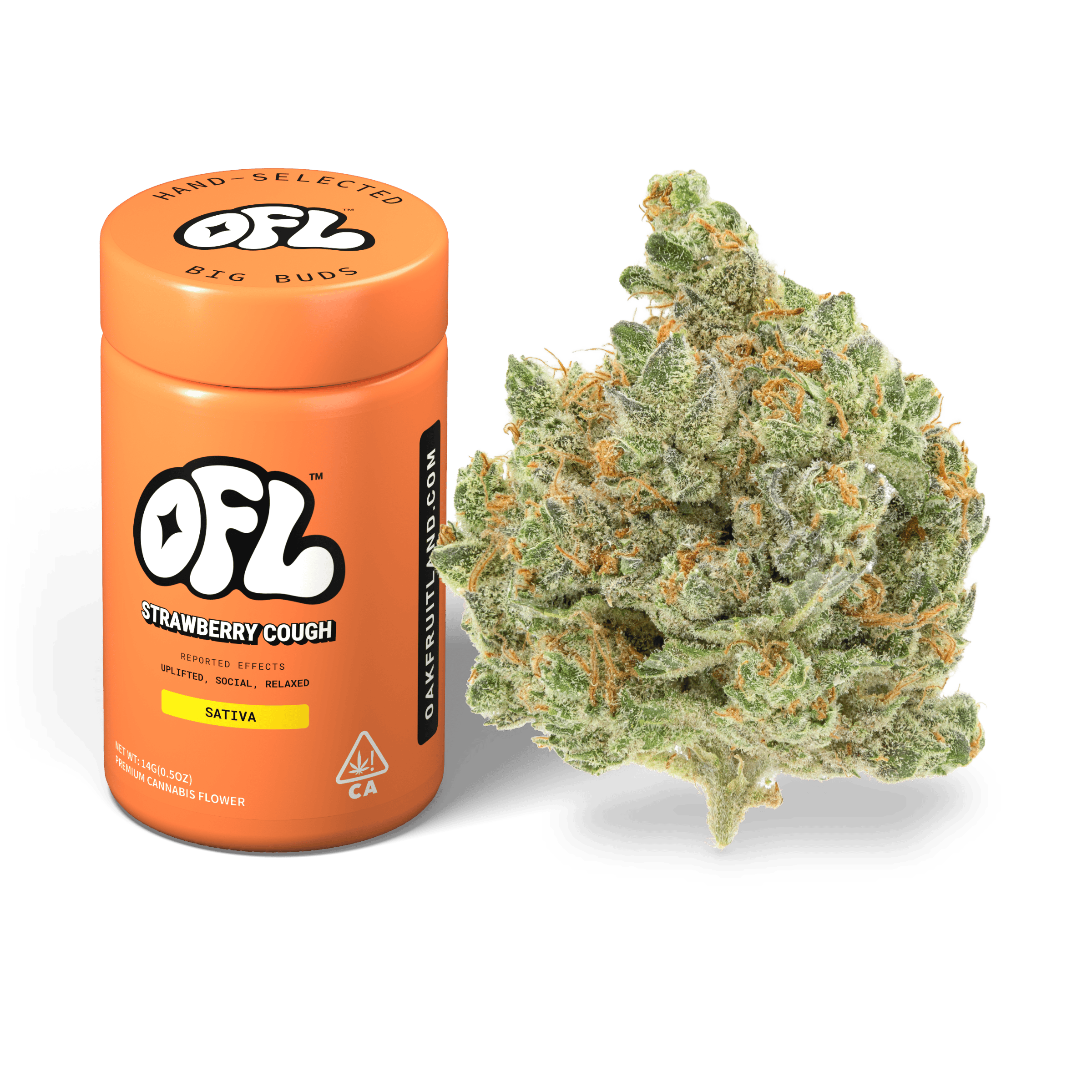 Strawberry Cough | Big Buds Jar | 14g