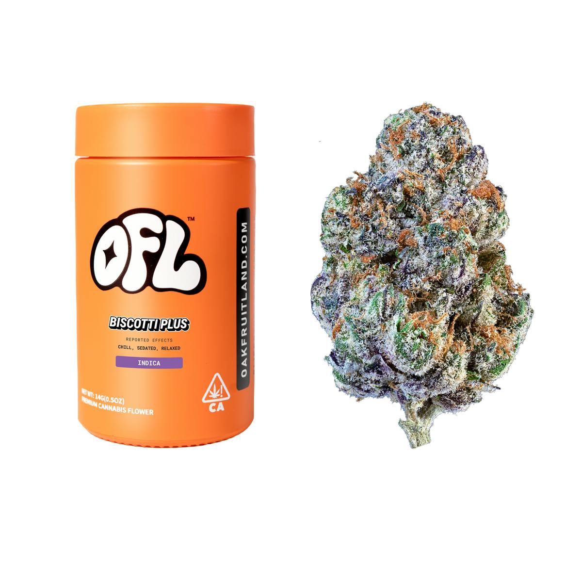 Oakfruitland (OFL) — Biscotti