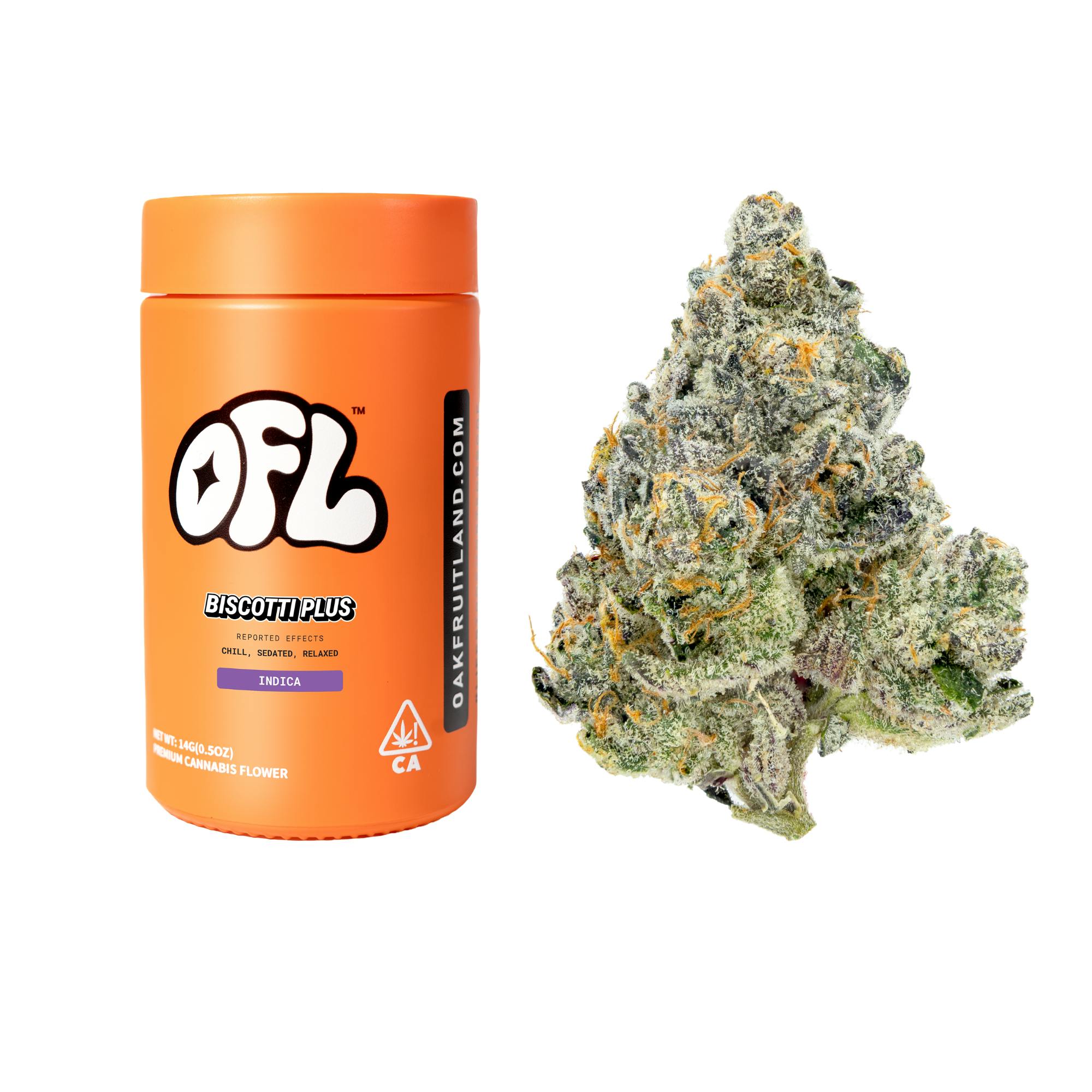 Biscotti Plus | Big Buds Jar | 14g