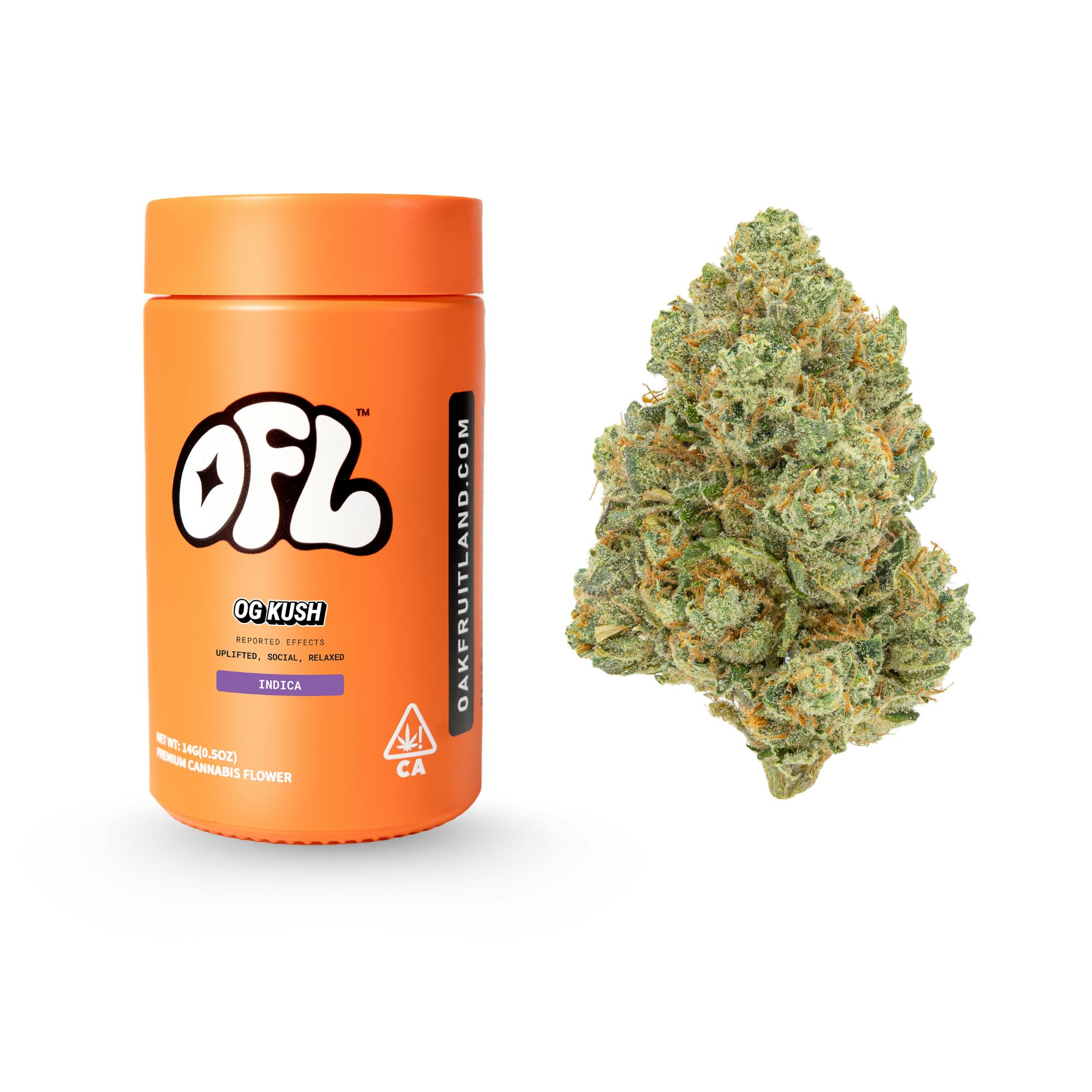 OG Kush | Big Buds Jar | 14g