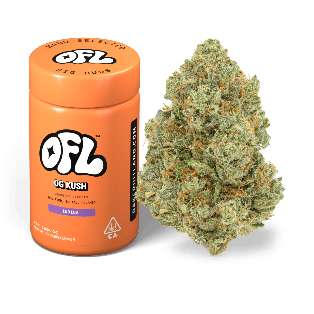 OG Kush | Big Buds Jar | 14g