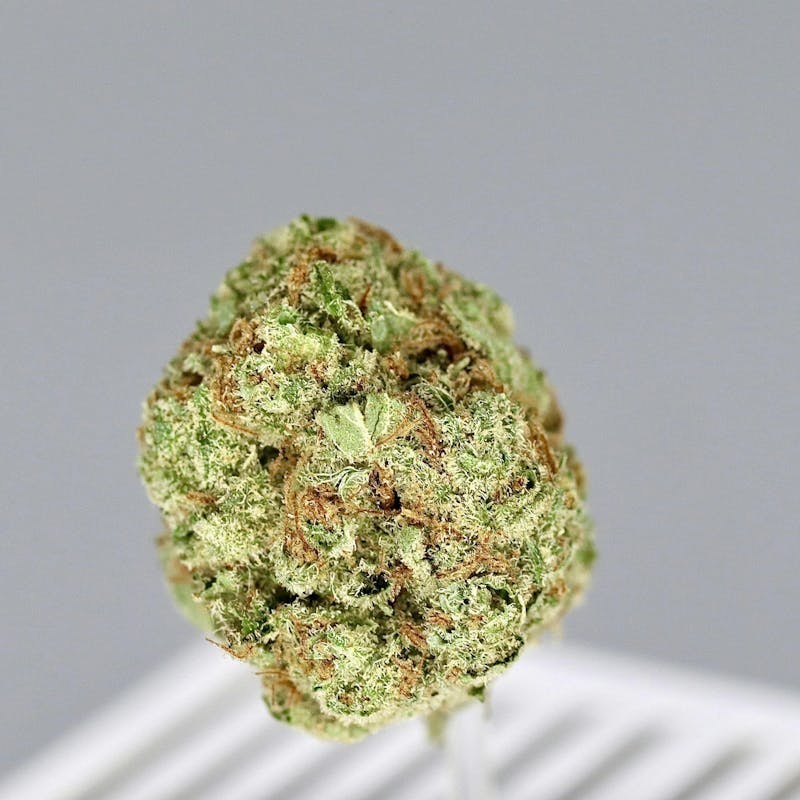 Revo Group — Black Jack