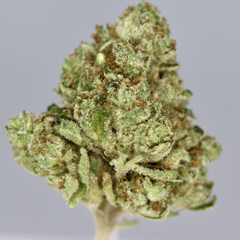 Revo Group -: Church OG