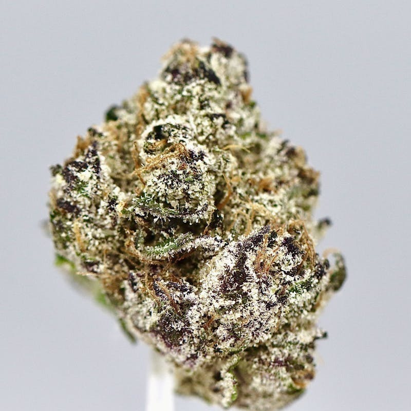 Revo Group — Ape Shit