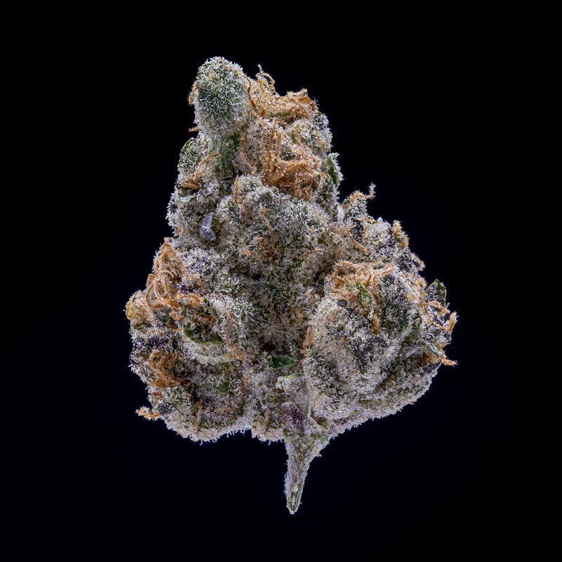 Wedding Pie 3.5g by JAR Cannabis Co. at JAR Cannabis Co. Dispensary - Carrabassett (Sugarloaf)